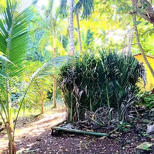 La Familia And Natural Farm Jamaica